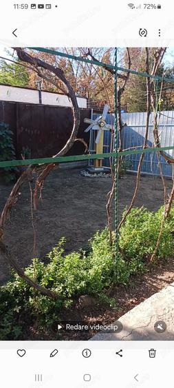 Casa batraneasca de vanzare - 11