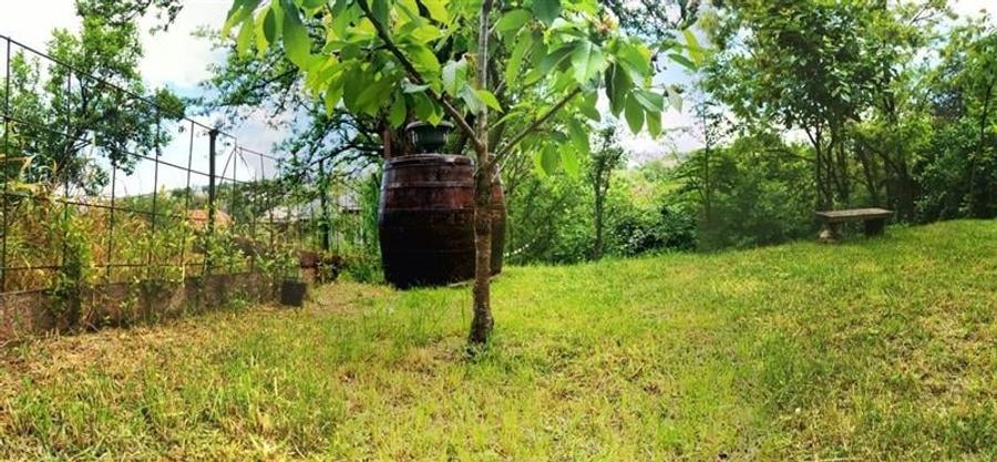 Apartament 2 camere | 65 mp | gradina | Centru | zona Parcul Central - 16