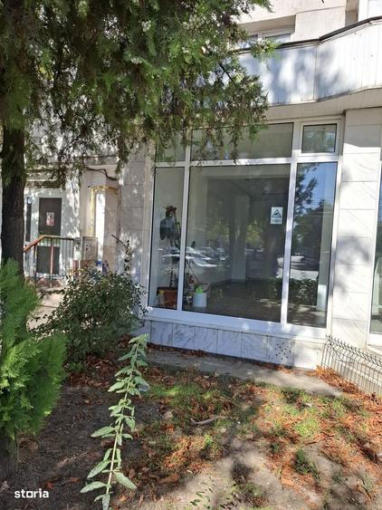 Spatiu comercial stradal Micro 19 - 1