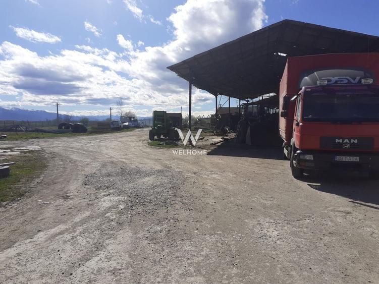 Spatiu industrial-baza depozitare cu cale ferata-Arpasu de Jos - Sibiu - 10