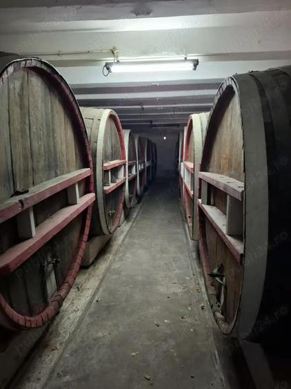 Crama de vanzare Odobesti -Vartescoiu - 3