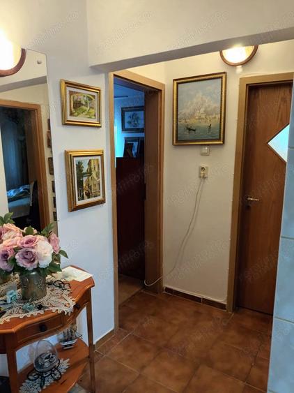 Apartament cu 3 camere parter inalt Zona Lidia-Drubeta. - 4