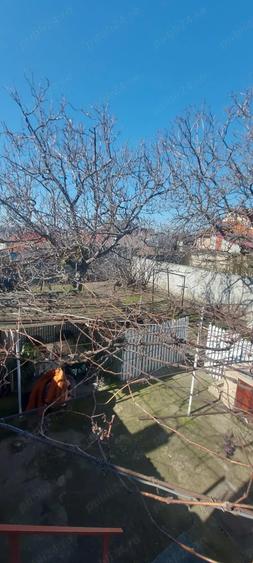 Stadion - Delfinariu - Casa - 3