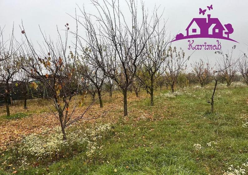 Parcela de teren Nojorid - 3