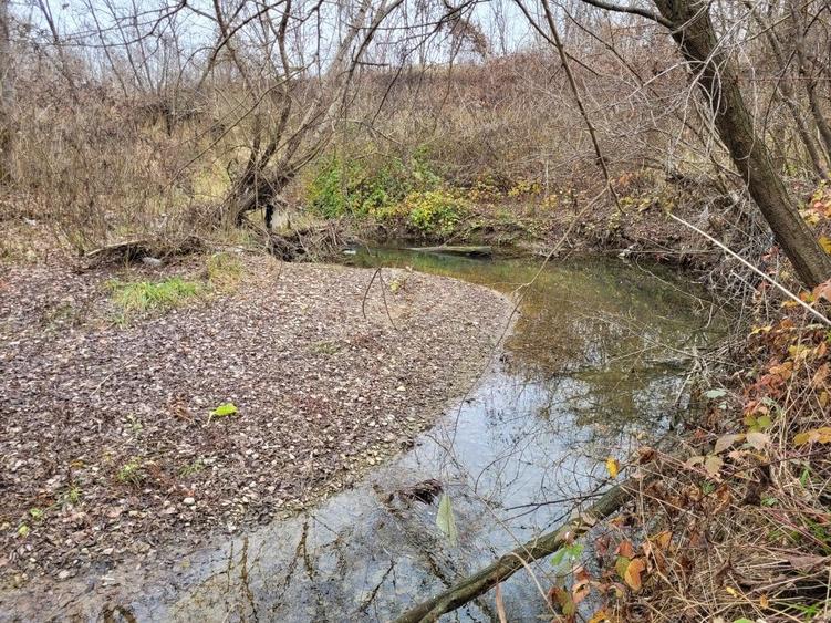 Casa Batraneasca si teren - 3