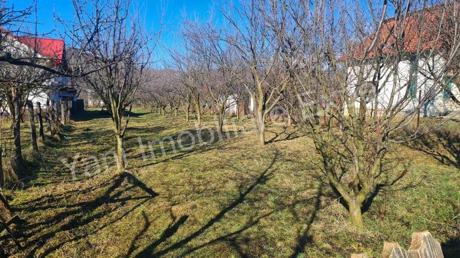 Teren de vanzare in comuna Corbeni, sat Oe?tii Pamanteni, jude? Arge?. - 3