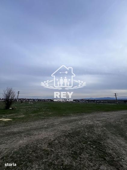 Teren Arabil Turni?or - Spre ferma de pui - 2