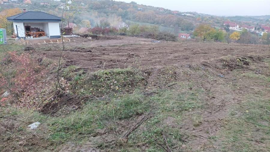 RECO . Teren in Podgoria . - 1