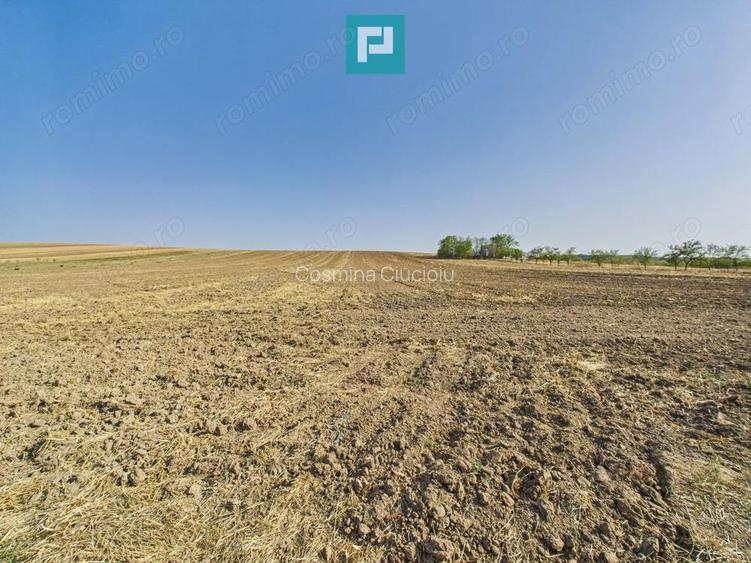 TEREN REMETEA MICA, JUDE?UL TIMI?