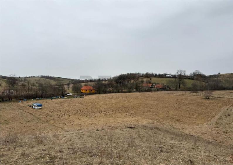 RECO , teren intravilan in Tomnatic, Vadu Crisului - 6