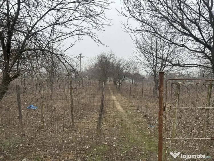 Teren de 1200 mp, în Coșoveni