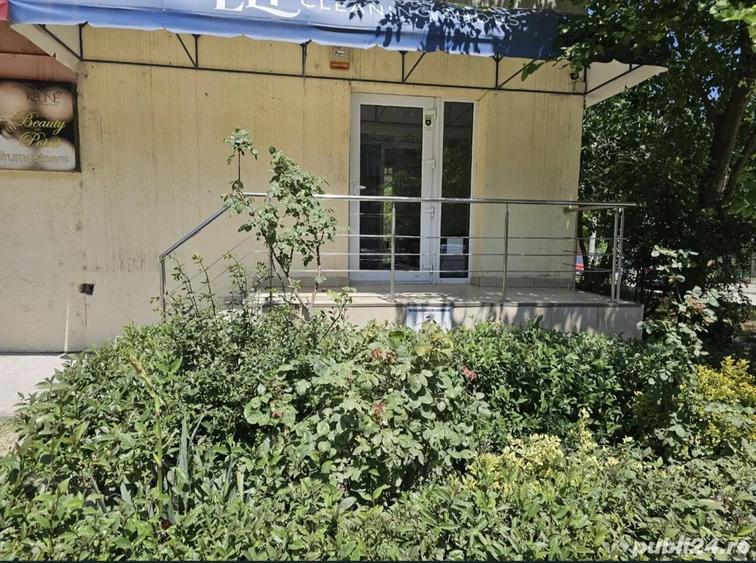 Spa?iu cu Vad, Cire?ica - 7