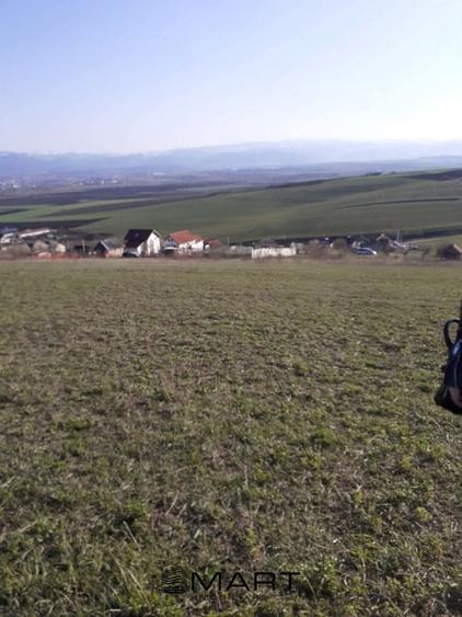 Teren intravilan Sura Mare 550mp - 2