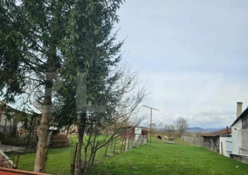 Casa batraneasca cu teren generos, in localitatea Dedra - 2