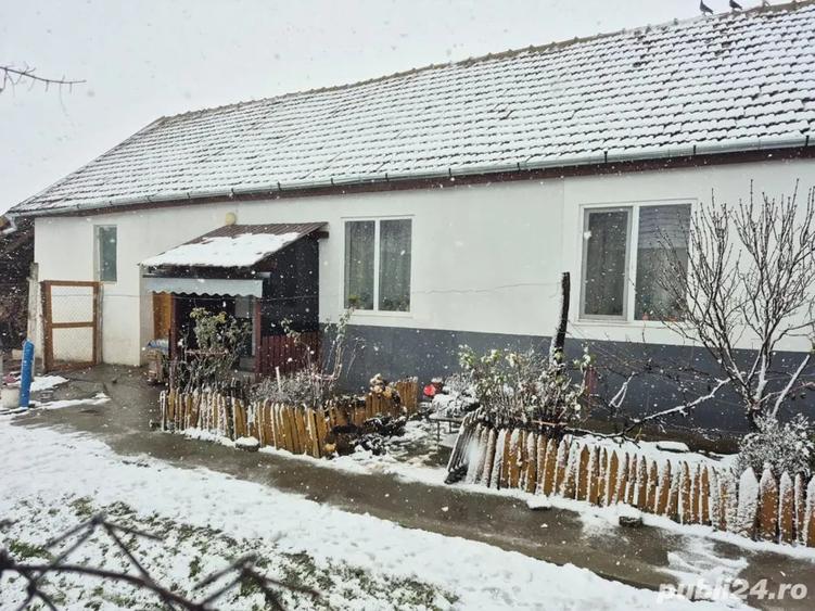De vanzare casa cu teren Sat Pustinis, 1150 m2. - 10
