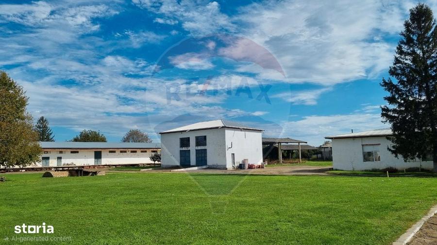 Teren Industrial de Vanzare 4.4 Ha - Zona industriala - Harlau - 6