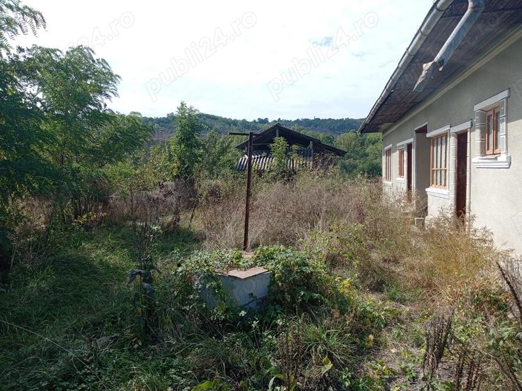 Teren si casa de vanzare aproape de SINAIA - 2