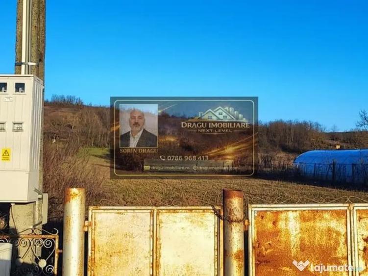 Teren intravilan 3129 mp | Deschidere 28 ml / Lespezi ... - 1