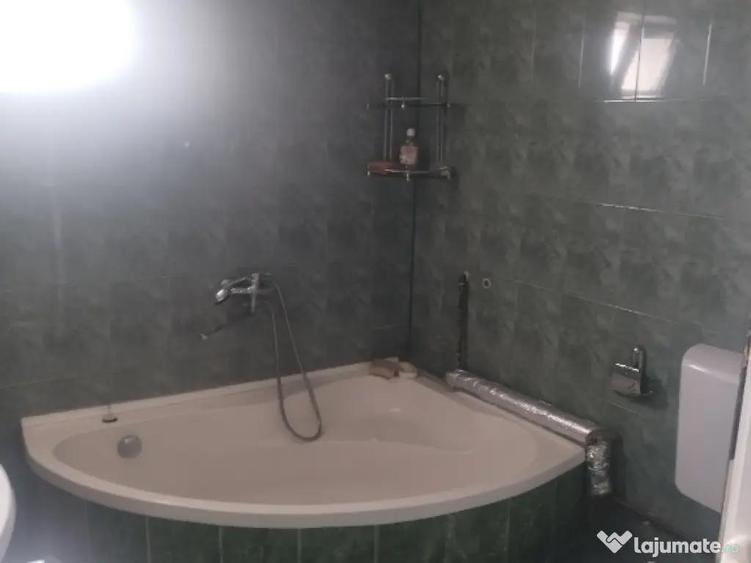 Vand proprietate cu doua case plus anexe! comuna Runcu sat Balta la 20 km de ora? - 1