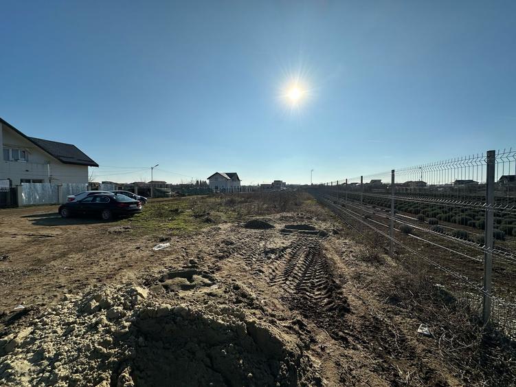 3368MP TEREN CONSTRUCTII MOGOSOAIA, APROAPE DE PRIMARIE, UTILITATI - 6