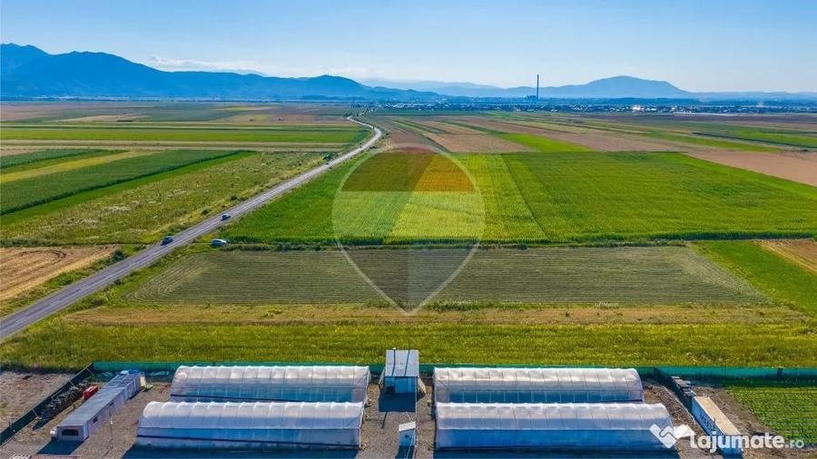 COMISION 0% | Teren intravilan 7.500 mp | Tarlungeni, Brasov - Tarlungeni (Brasov) - 1