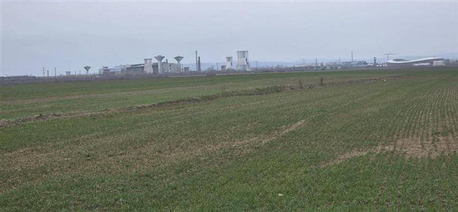 Teren agricol extravilan de 7900 mp, în Industrială