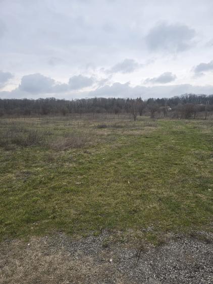 Teren Construcții intravilan de 741 mp, în Băneasa