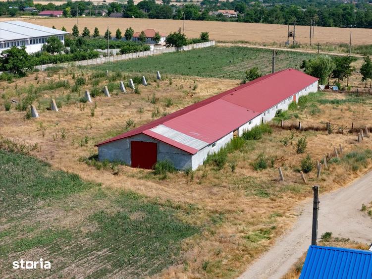 Teren de 29560 mp, în Cogealac
