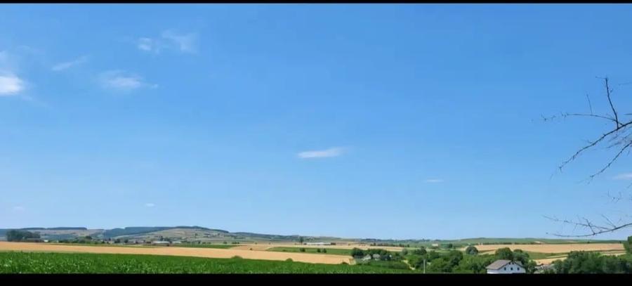 CASA cu TEREN 7.3 HECTARE Zvorastea Suceava - 8