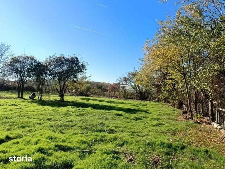 Casă cu 3 camere cu Teren 9000 Mp în Bucureștii Noi