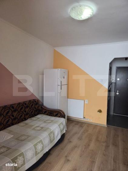 Garsoniera cocheta | 24 mp | Etaj intermediar | Parcare | Zona Astra - 6