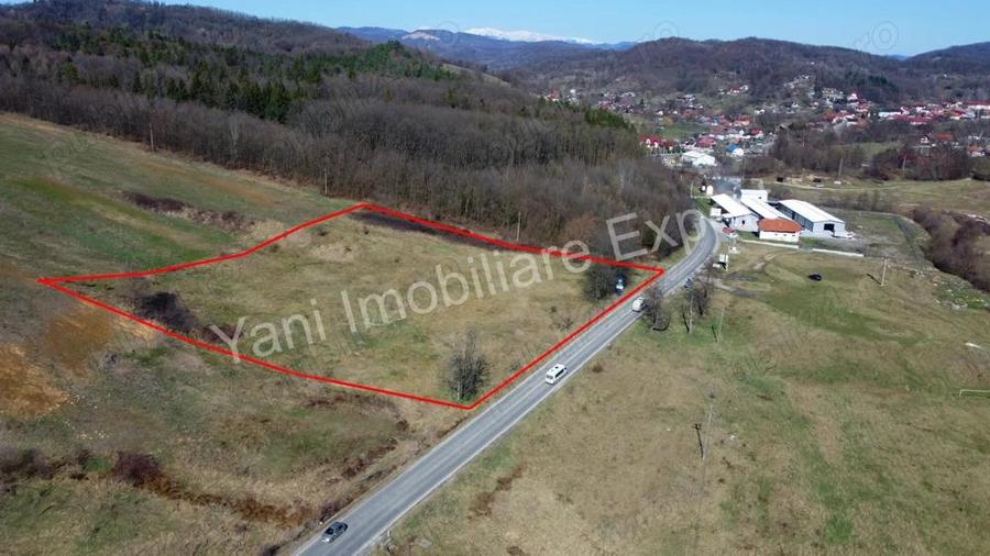 Teren 10.000 mp de vanzare in comuna Valea Ia?ului, jude? Arge?. - 2