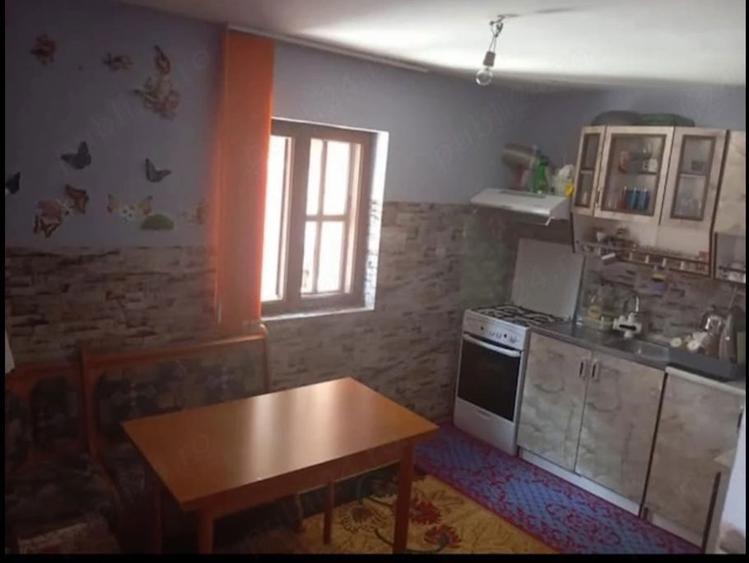 Casa P+1 + Casa Batraneasca - 3