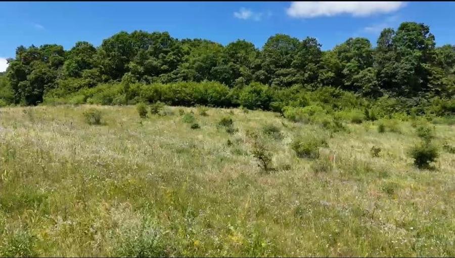 Vanzare teren intravilan, 700 mp., Chinteni - 2