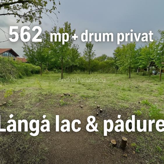 [OFERTĂ RARĂ] 562 mp + drum privat – lângă lac și pădure, Pasărea, Brănești