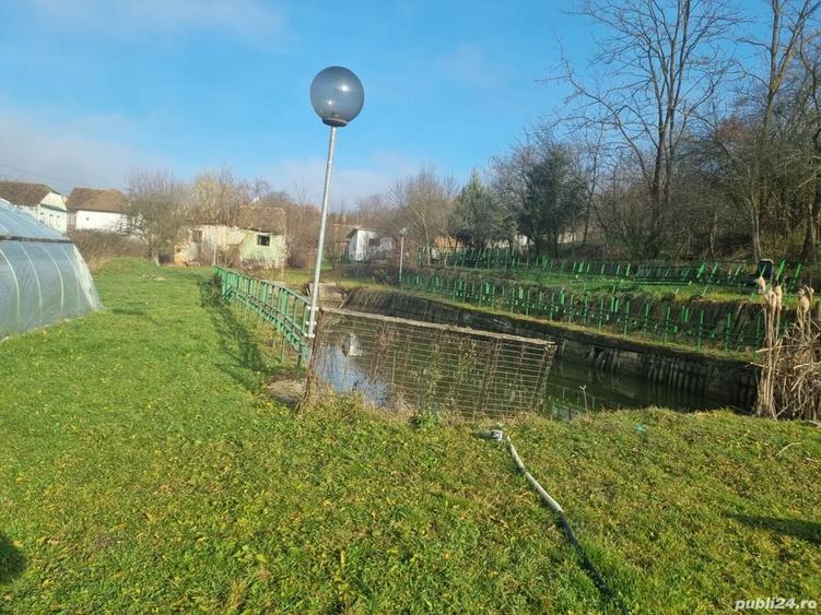 Casa+ livada Amnas, jud. Sibiu - 8