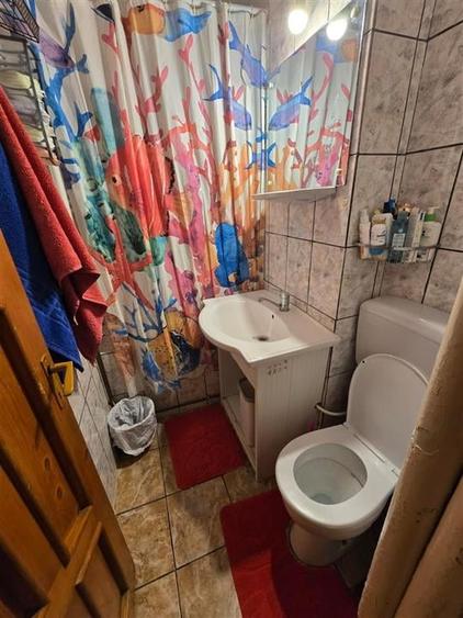 Alexandru Chimicale - ap 2 camere, fara risc - 8