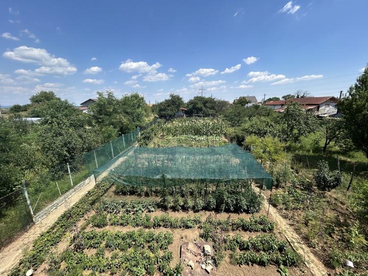 VAND O VILA IN PADUREA DIN FILIPESTI - 15