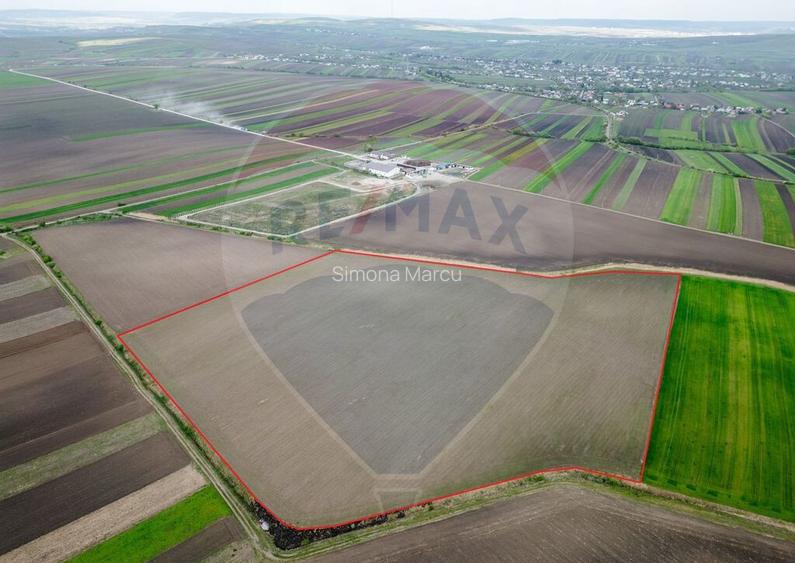 Teren 86,000mp Suceava / DN 17 Teren 86,000mp Suceava / DN 17