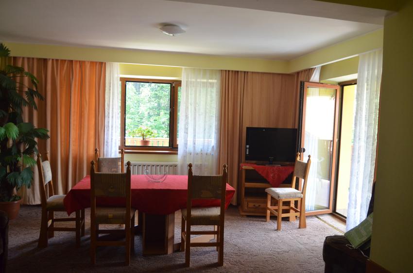 Vila cu 11 camere situata in Predeal,Cioplea ,panorama spectaculoasa - 8