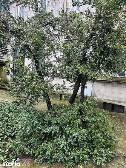 apart 2 cam in vila, ultracentral, Romana / Doroban?i (curte proprie). - 6