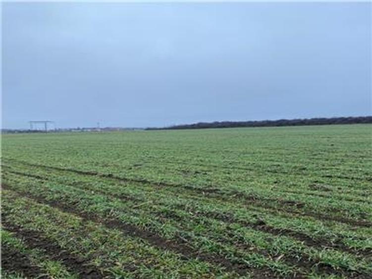 Teren Intravilan 28.000 mp în One?ti – pentru Investi?ii Industriale si  Comerci - 4