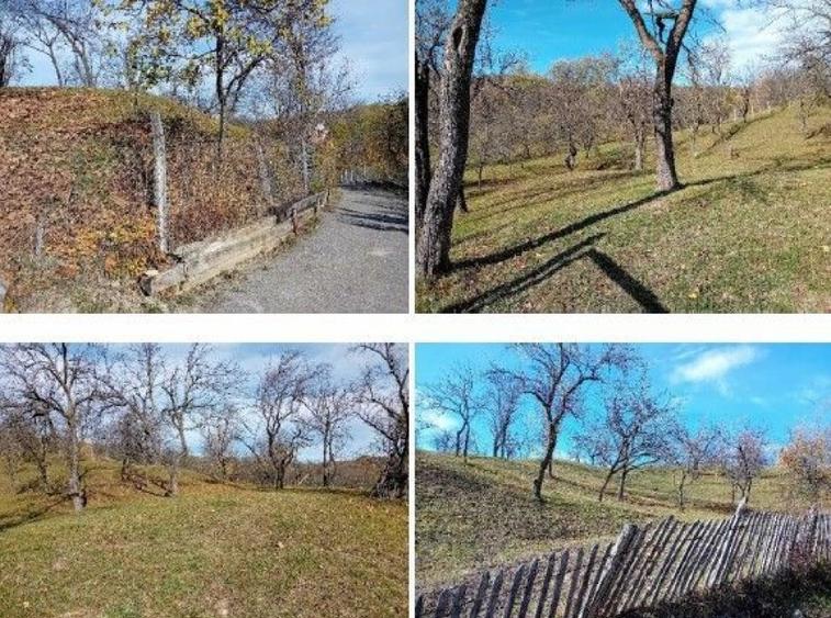 Teren cota parte 1/2, Sat Vistieru, ID: R2809860 - 11