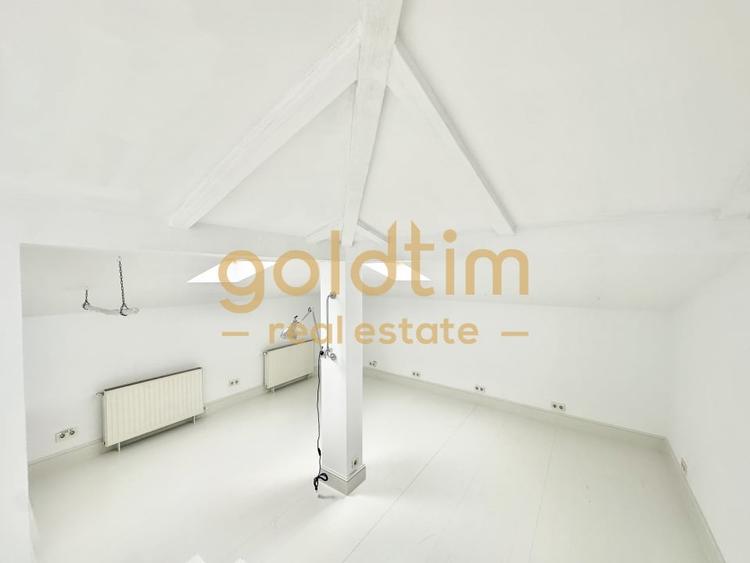 VILA INTERBELICA RENOVATA/CURTE/PRETABILA ACTIVITATI COMERCIALE/DOROBANTI - 4