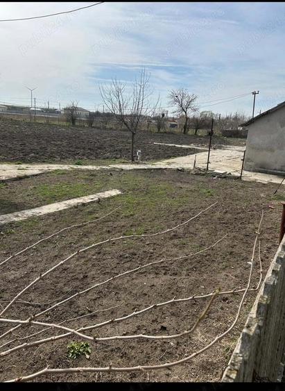 Casa de vanzare,comuna Pecineaga,Constan?a - 5
