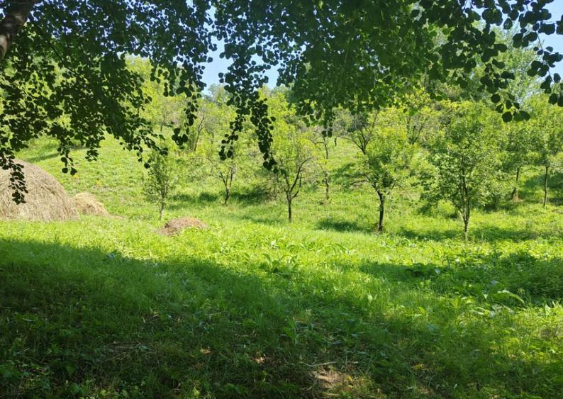 Teren intravilan 1035 mp cu parau, Breaza, Prahova - 8