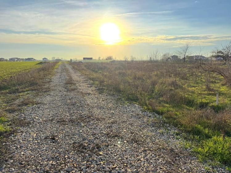 Teren Intravilan In Rate Stadion Berceni  | utilitati la strada #CG1R - 6