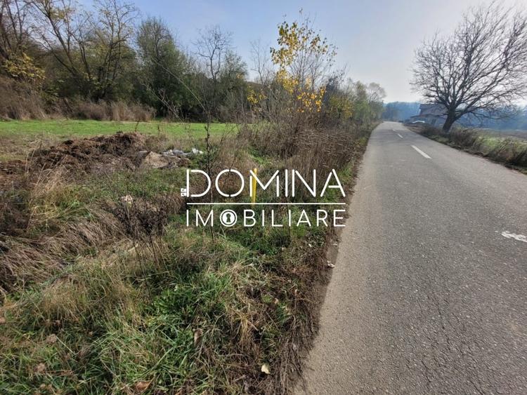 Vanzare teren intravilan - 1654 mp - strada Amurgului - Ursati - 6