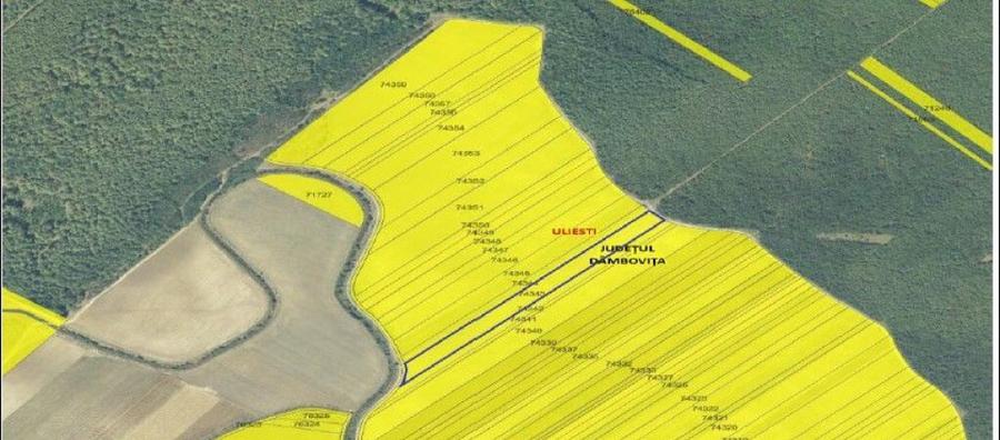 Teren extgravilan agricol Uliesti, ID: R2263433 - 3