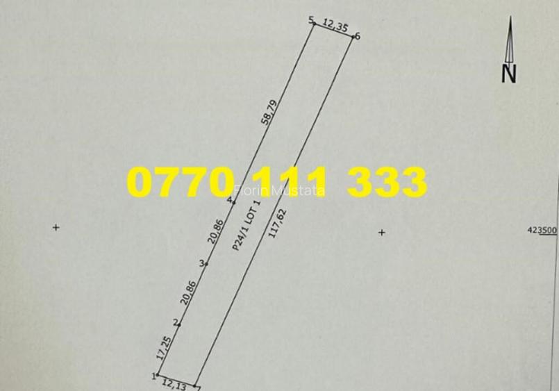 Teren 2900 mp in Cazasu.